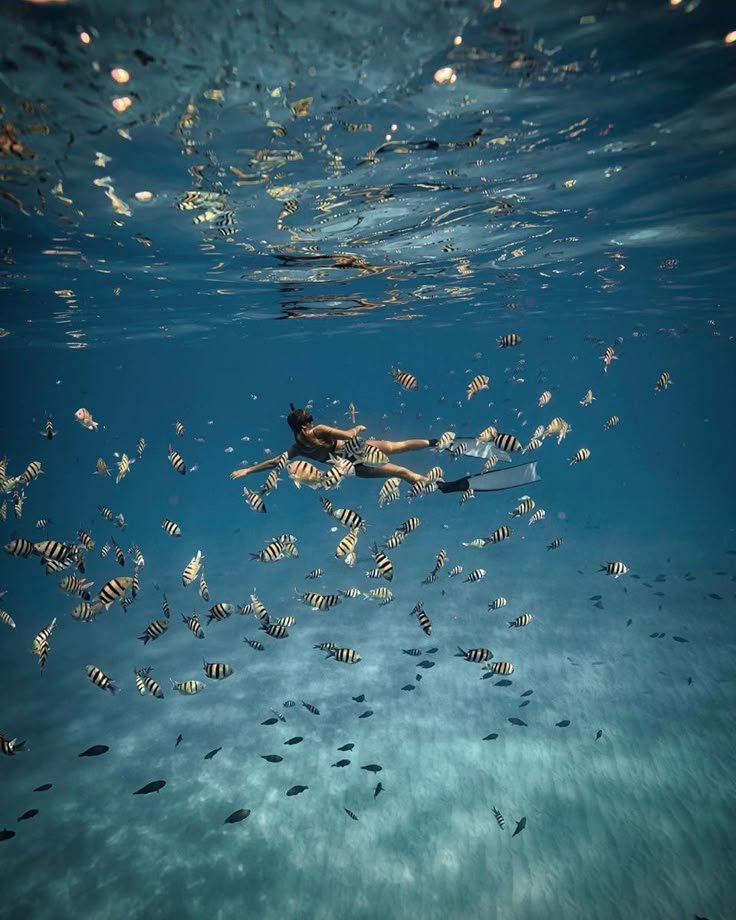 Surfing & Snorkeling Mentawai
