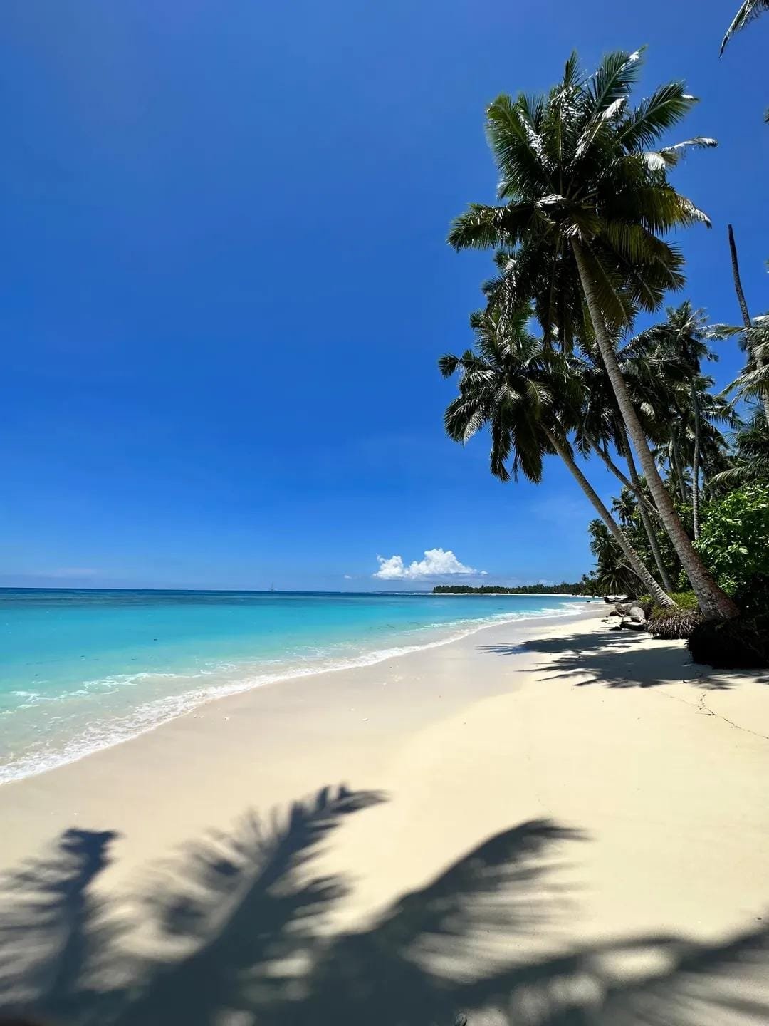 Foto Pulau Mentawai
